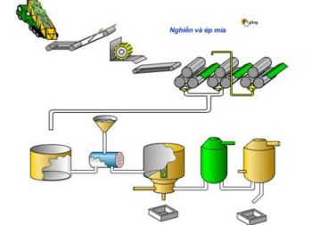Công nghệ sản xuất đường mía