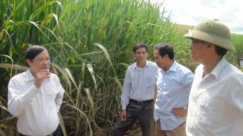 Hội nghị Người Lao động năm 2013