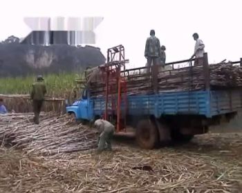 Máy nâng mía bán thủ công: Giảm sức lao động và chi phí, nâng cao hiệu quả kinh tế