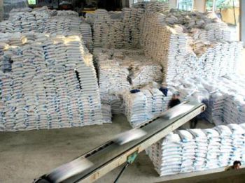 Gần 400 nghìn tấn phân bón được nhập về Việt Nam trong tháng đầu năm