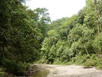 Sơn La giảm nghèo nhờ chính sách chi trả dịch vụ môi trường rừng