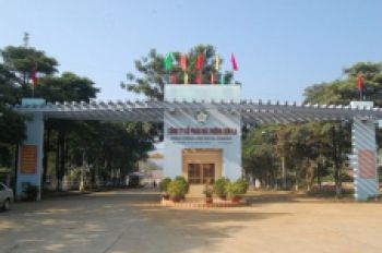 SLS: Chuyển mình từ tái cơ cấu