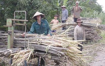 Bí quyết thành công của CLB 200 tấn Hậu Giang