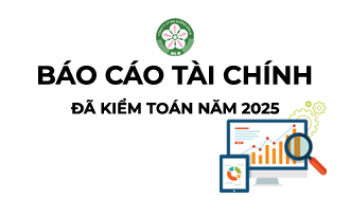 BÁO CÁO TÀI CHÍNH ĐÃ KIỂM TOÁN NĂM 2025