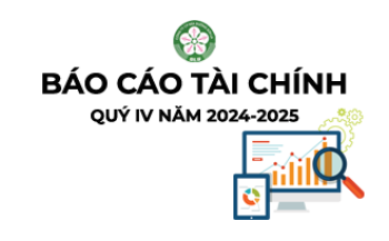 BÁO CÁO TÀI CHÍNH QUÝ IV NĂM 2024 - 2025