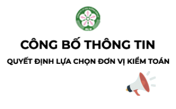 Công bố thông tin về quyết định lựa chọn đơn vị kiểm toán