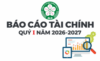 BÁO CÁO TÀI CHÍNH QUÝ I NĂM 2026-2027