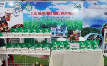 GIAN HÀNG GIỚI THIỆU SẢN PHẨM CÔNG TY